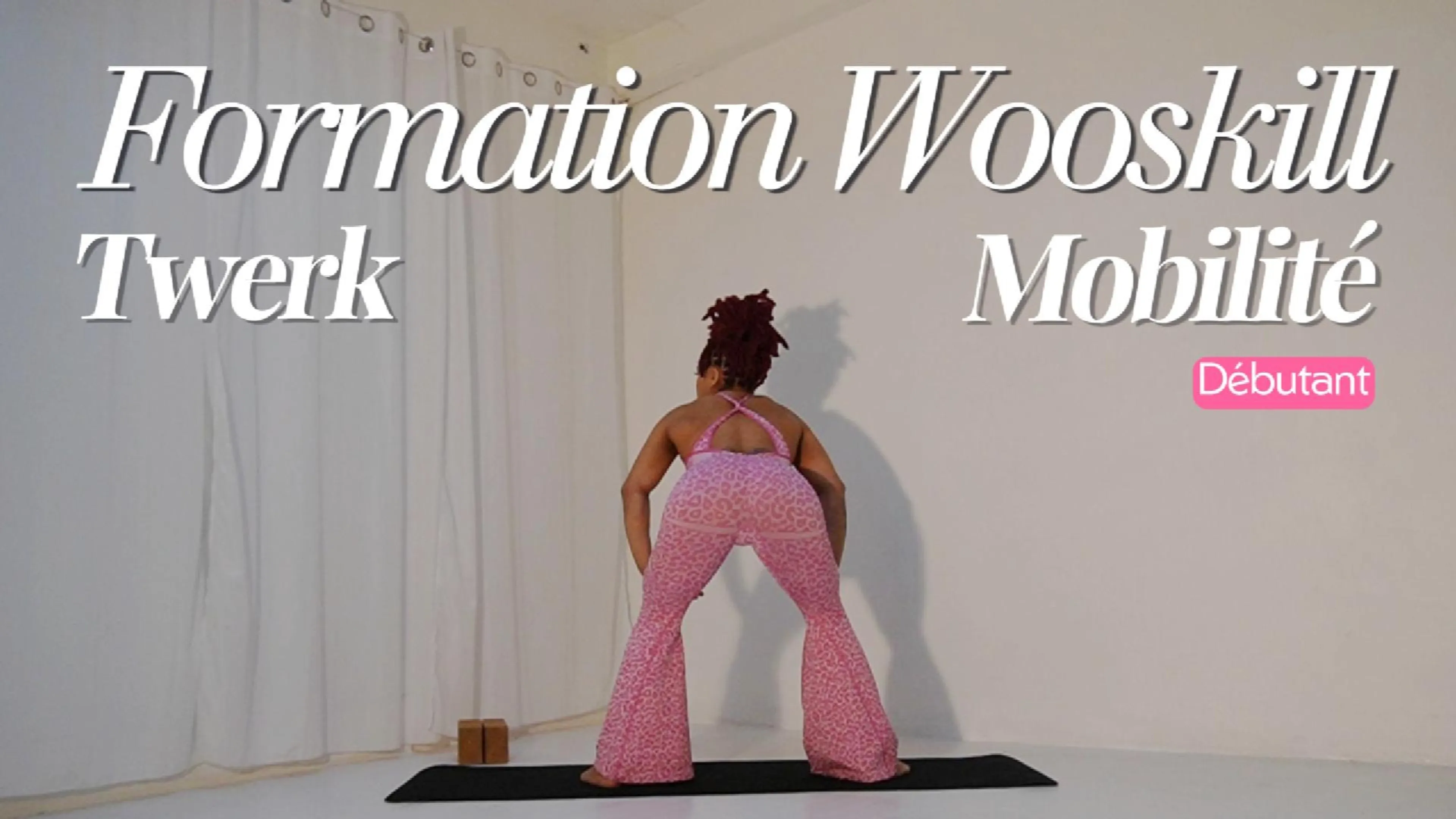 TWERK ET MOBILITE DU BASSIN - erotic movement