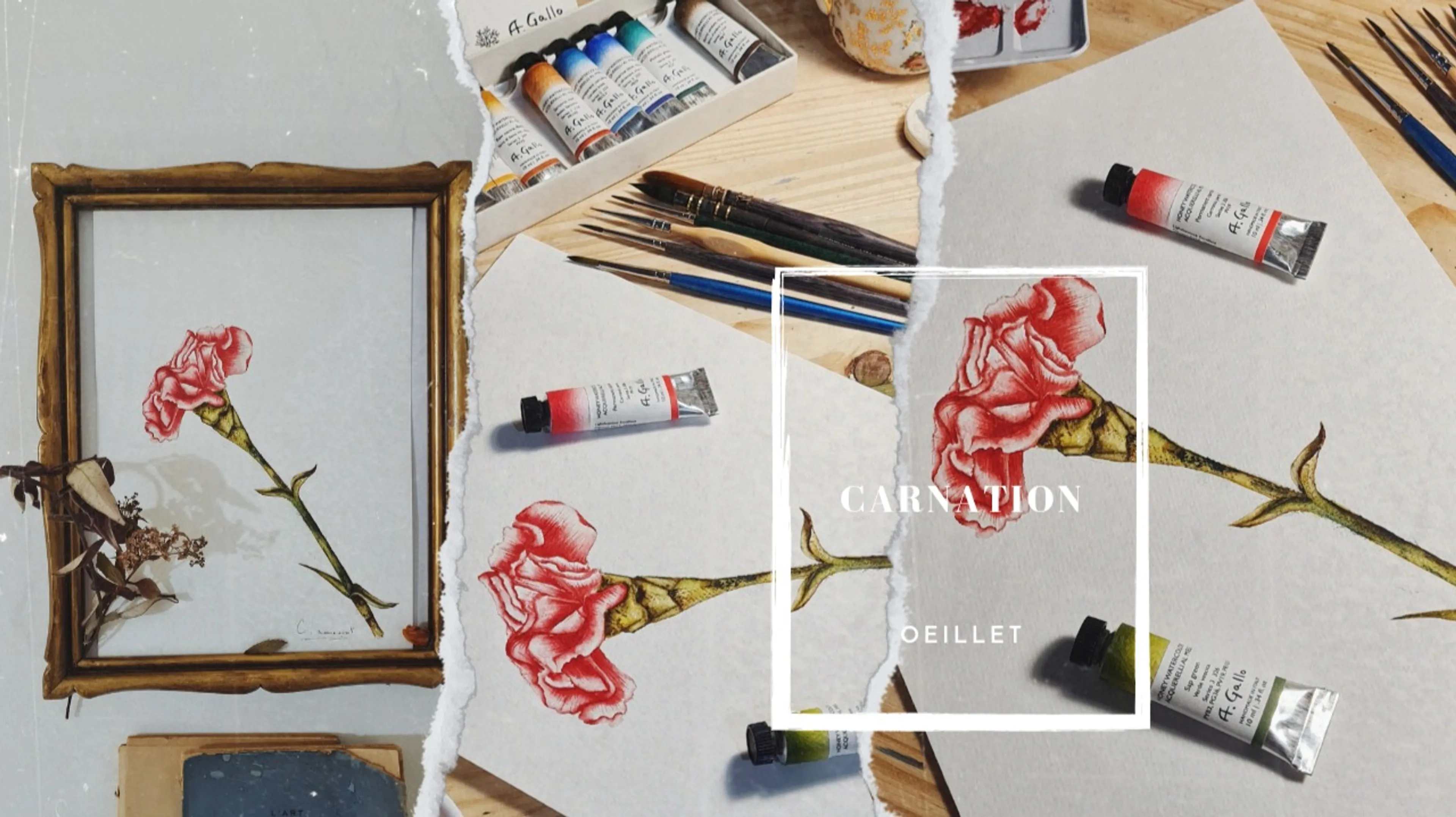 Fleur Œillet réaliste à l'aquarelle pour tous les niveaux