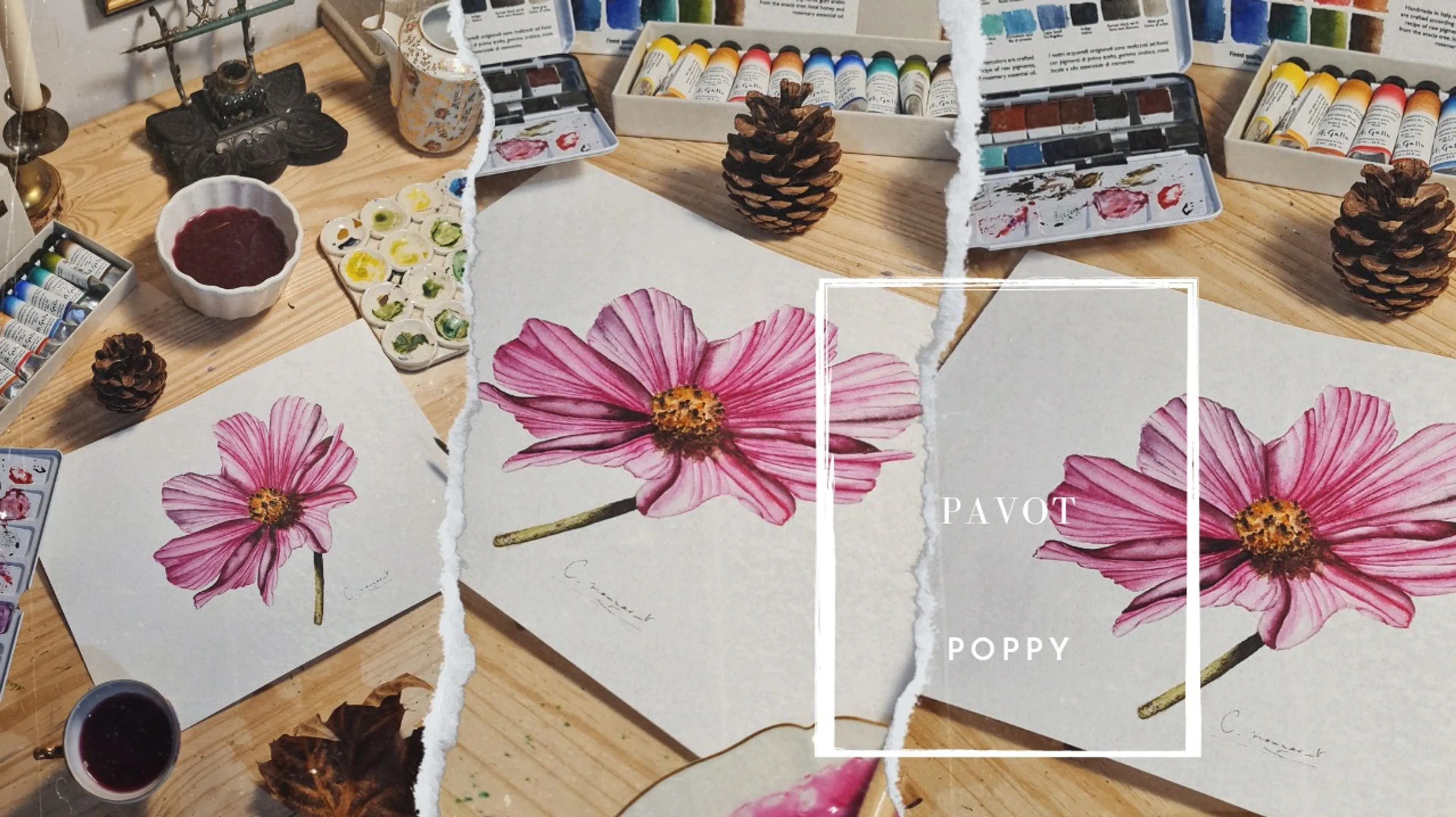 Fleur Pavot réaliste à l'aquarelle pour tous les niveaux