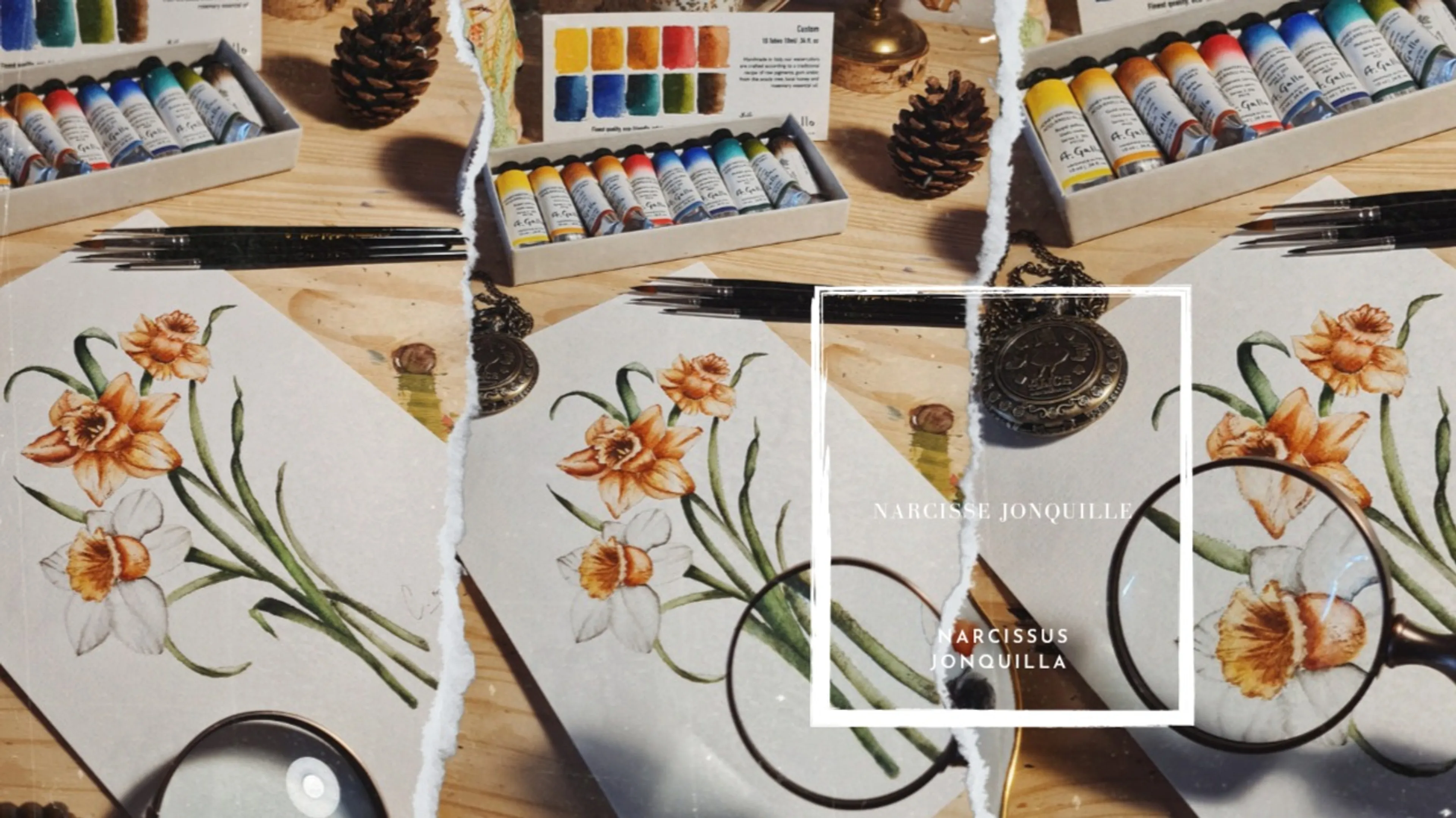 Fleurs réalistes à l'aquarelle narcisse jonquille, de débutant à expert