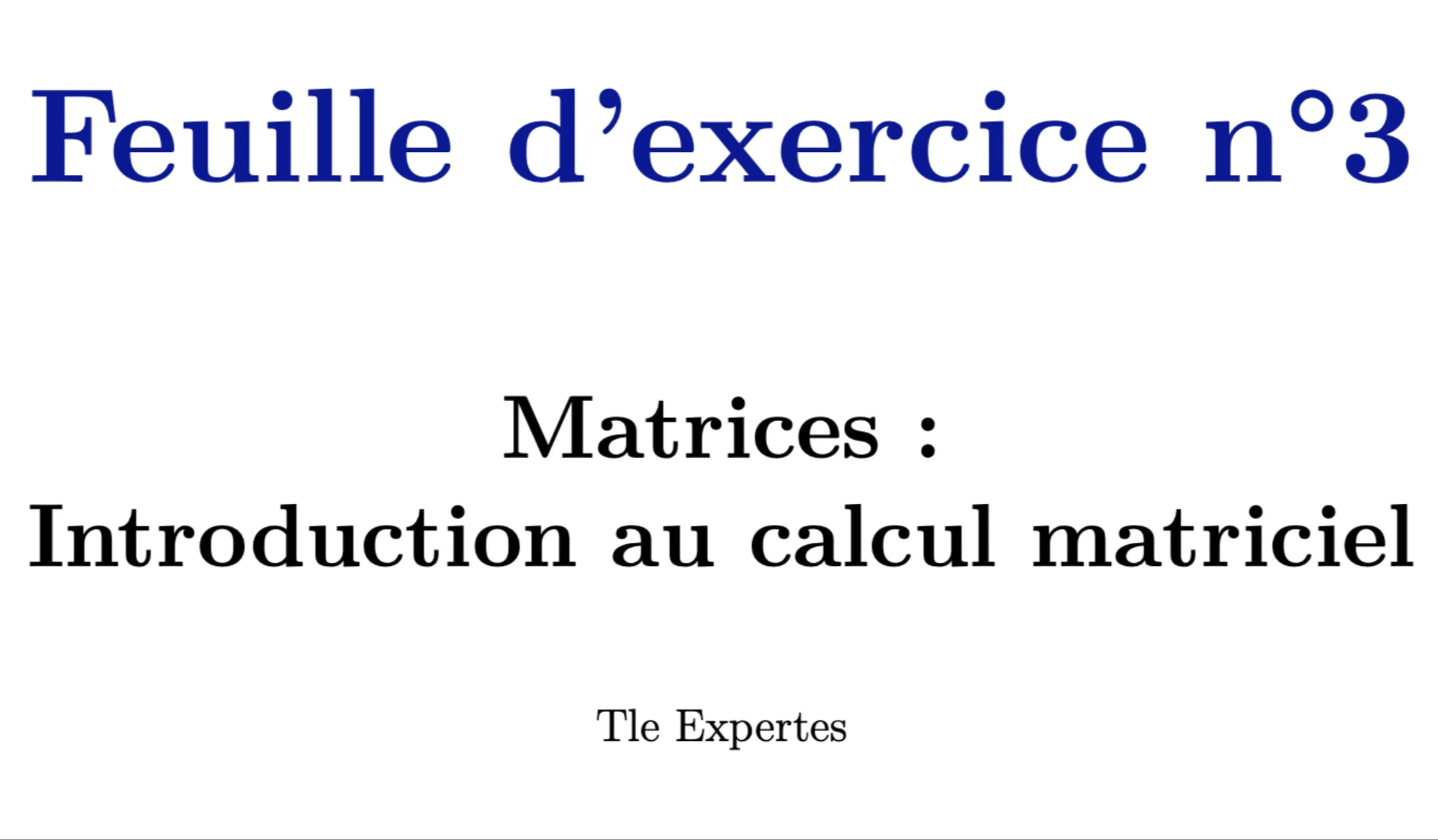 MON POLYCOPIÉ - TD : CHAPITRES MATRICES (TERMINALE MATHS EXPERTES).